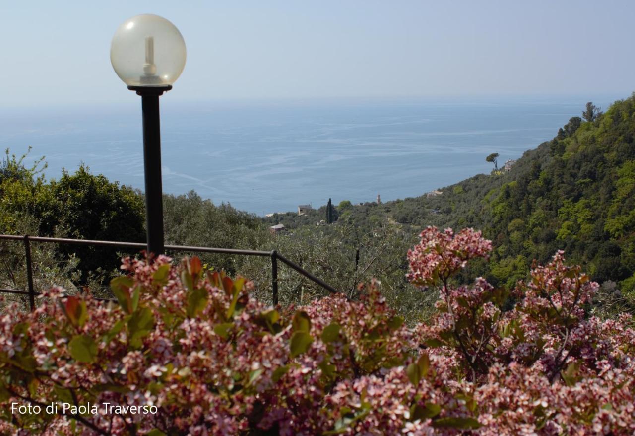 Azalea Villa Recco Buitenkant foto