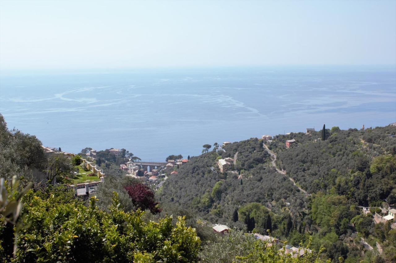 Azalea Villa Recco Buitenkant foto