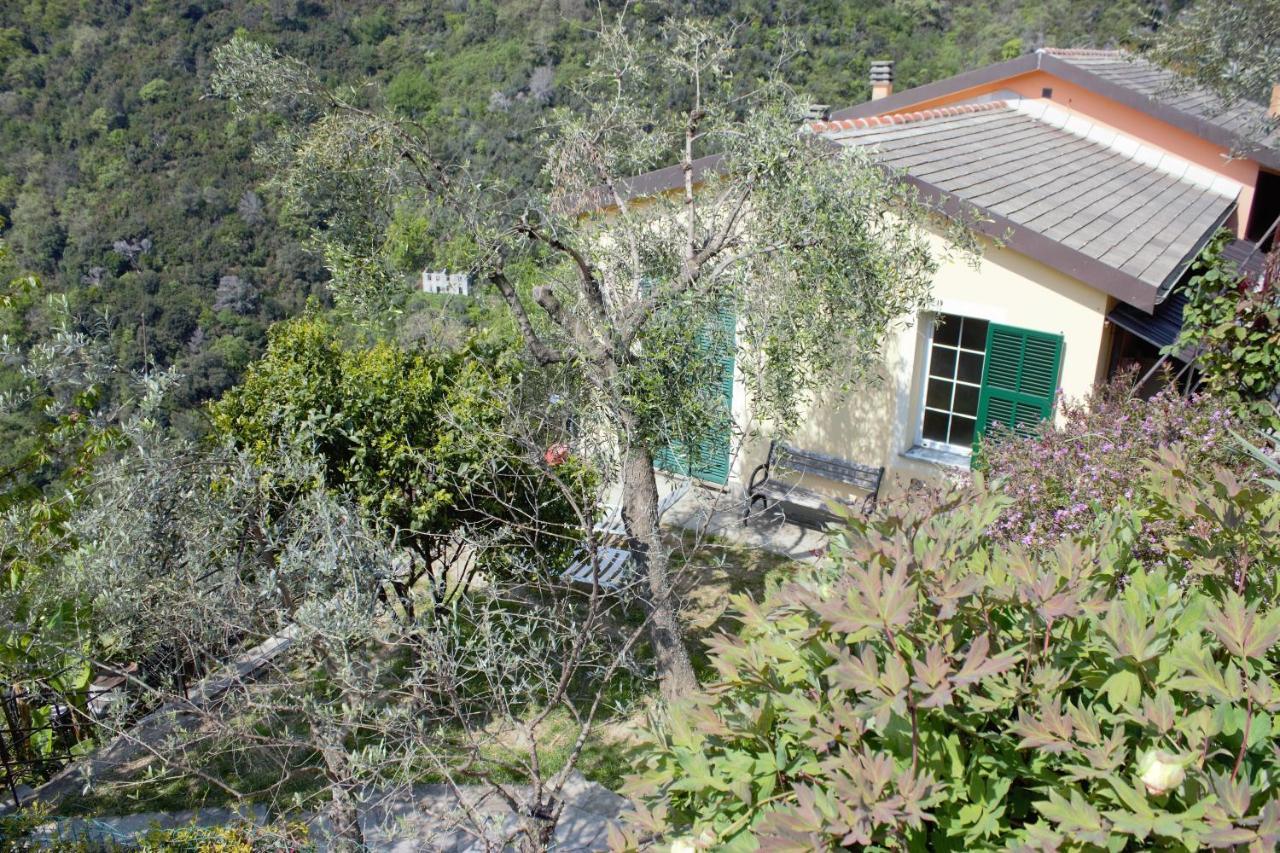 Azalea Villa Recco Buitenkant foto